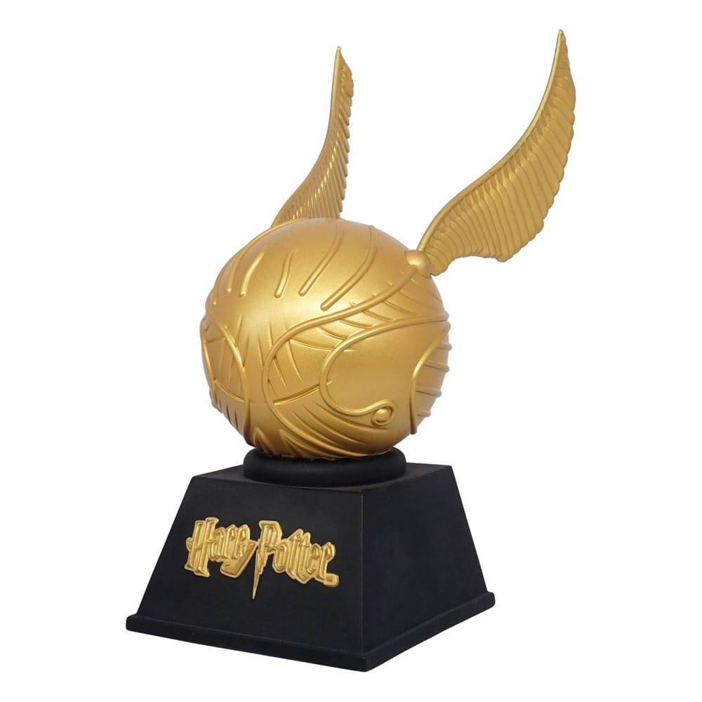 x_mngm48428_a