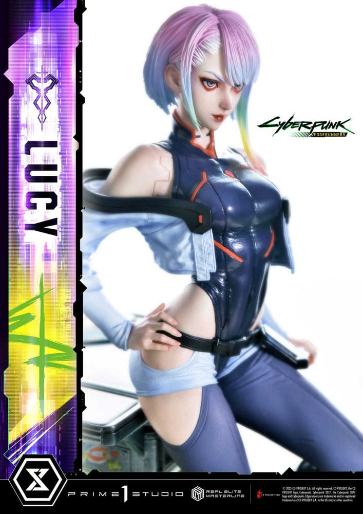 x_p1sremcp-01dxs_n