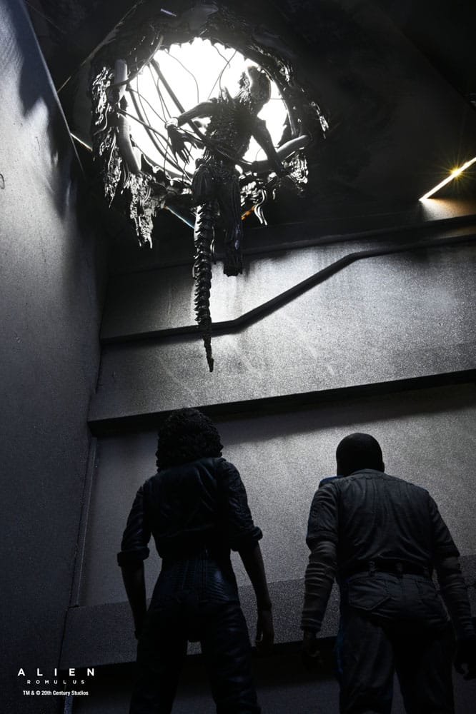 x_necan1743-01_a