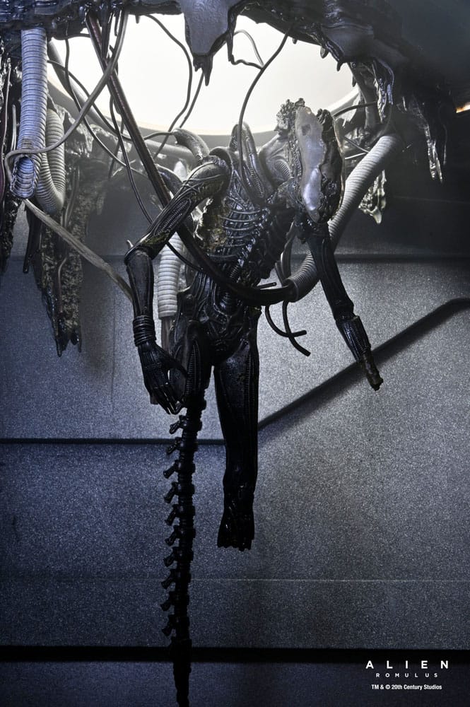 x_necan1743-01_j