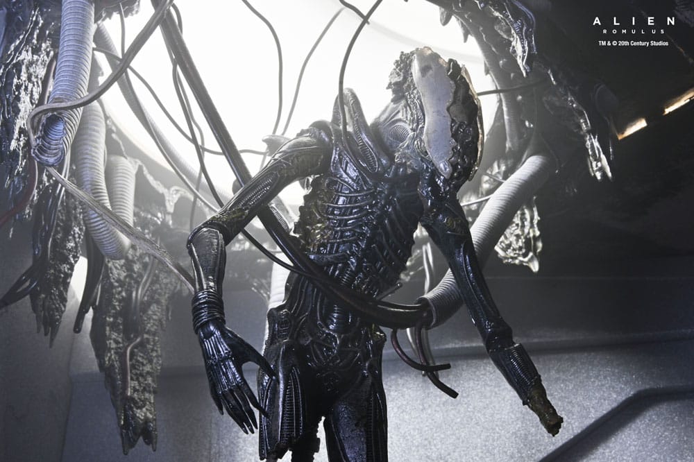 x_necan1743-01_l