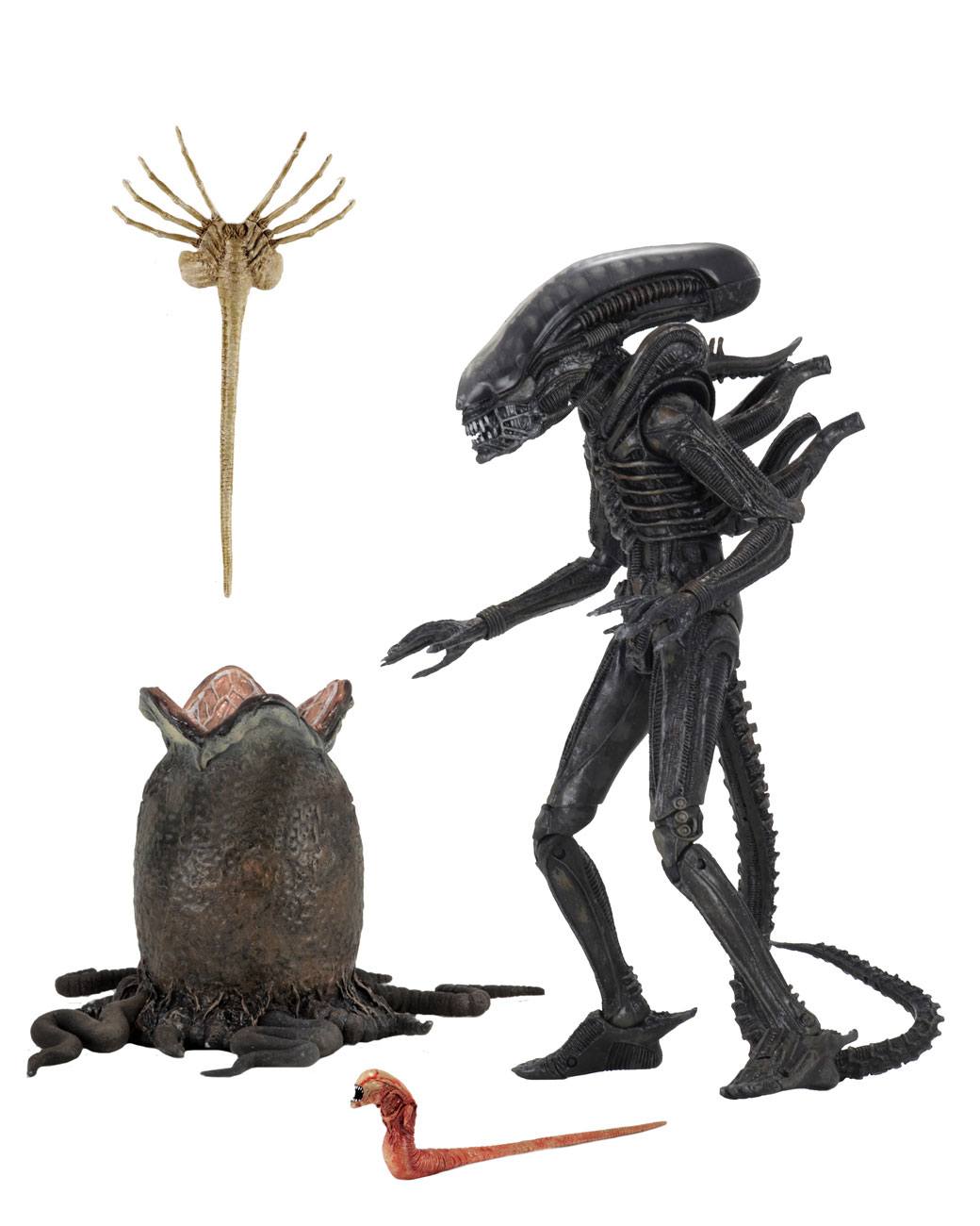 x_neca51646