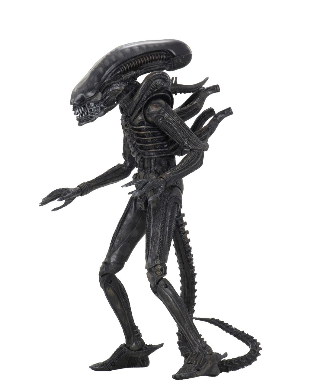 x_neca51646_a