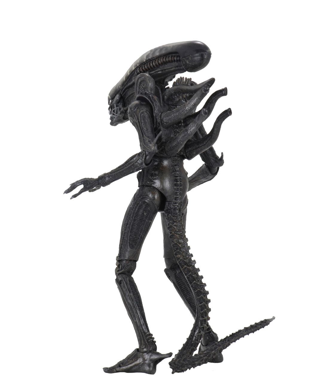x_neca51646_b