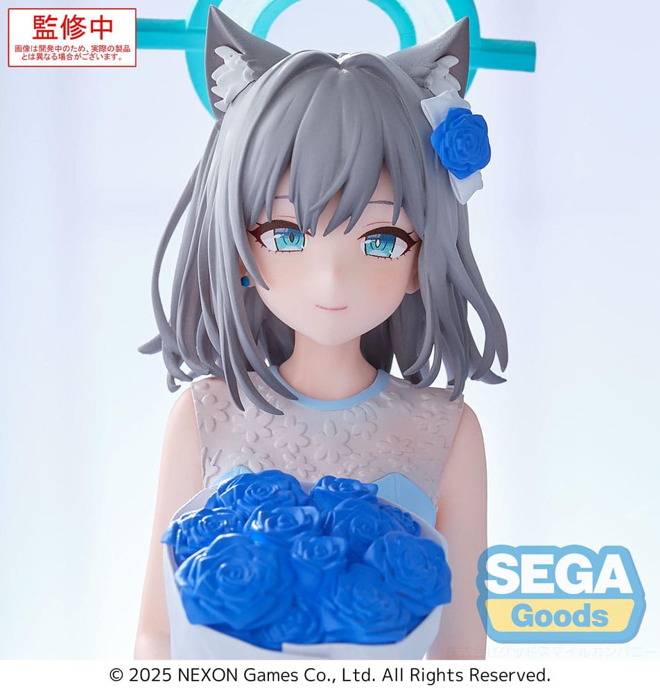 x_sega45893_f