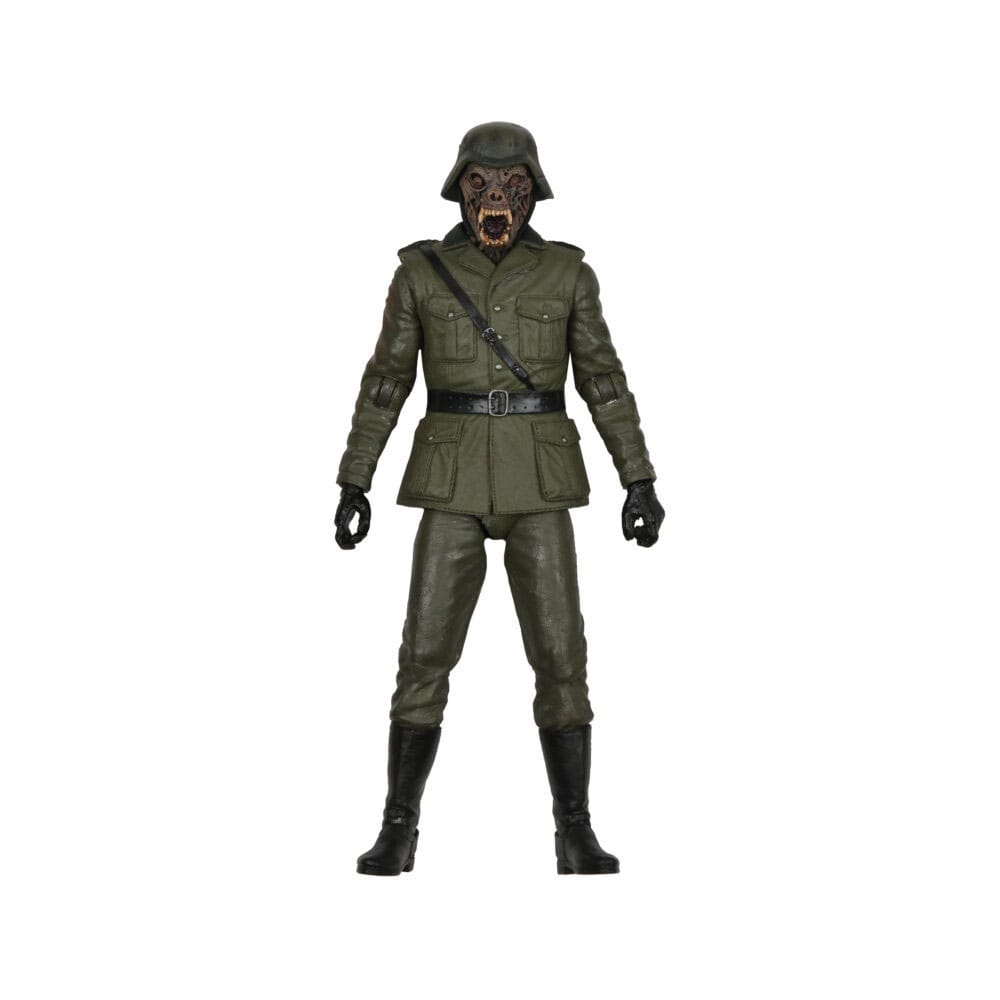 x_neca04950