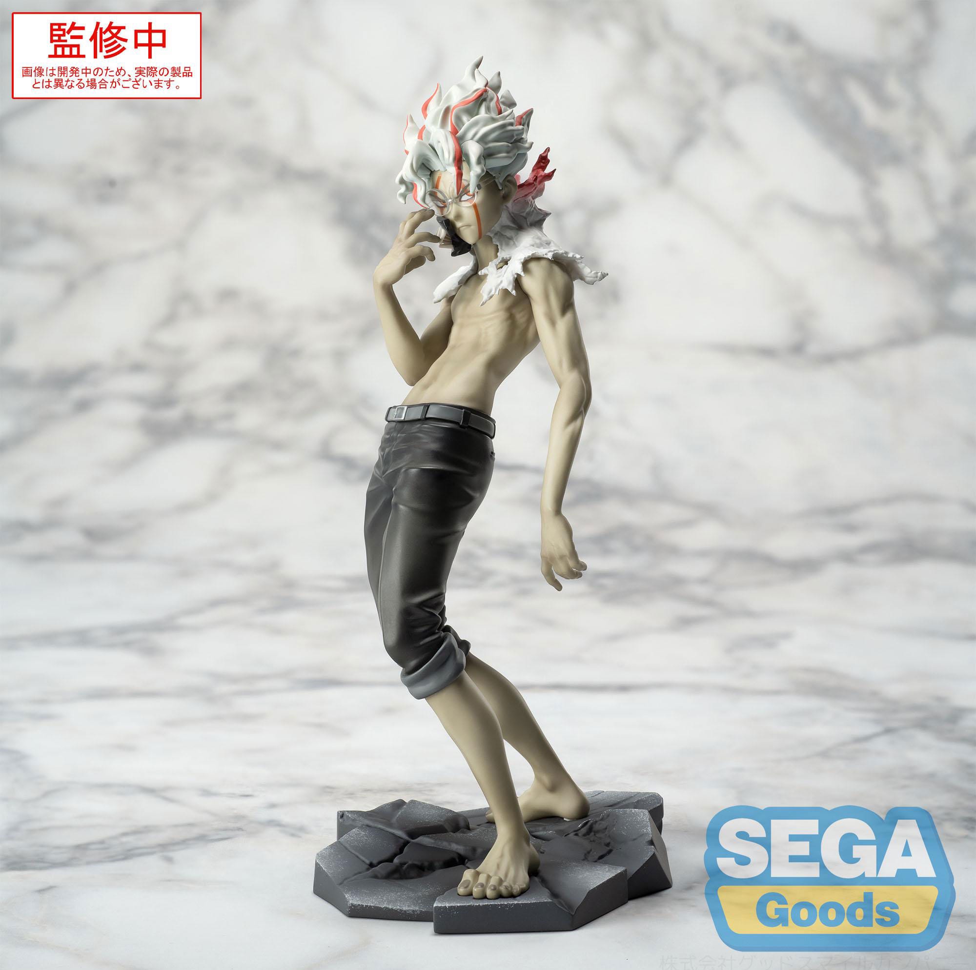 hr-sega45580