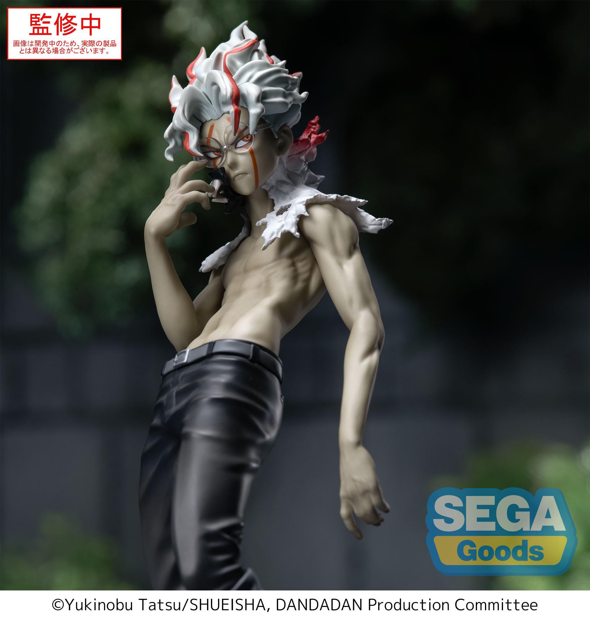 hr-sega45580-c