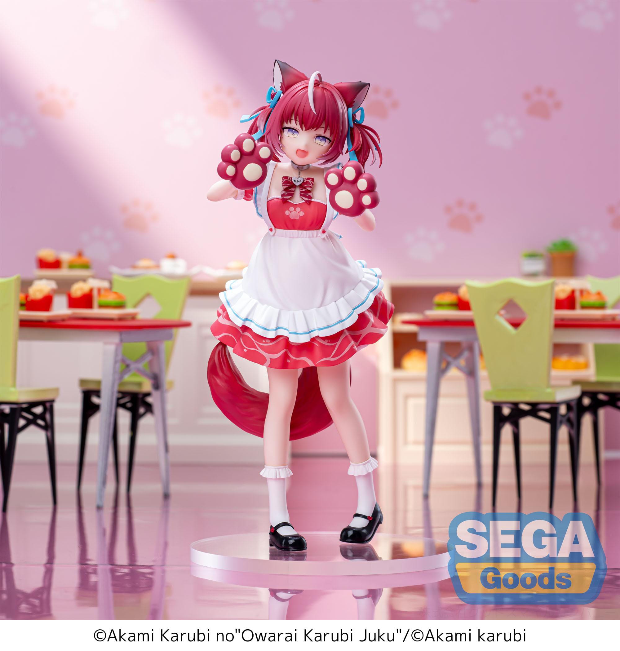hr-sega45402-a