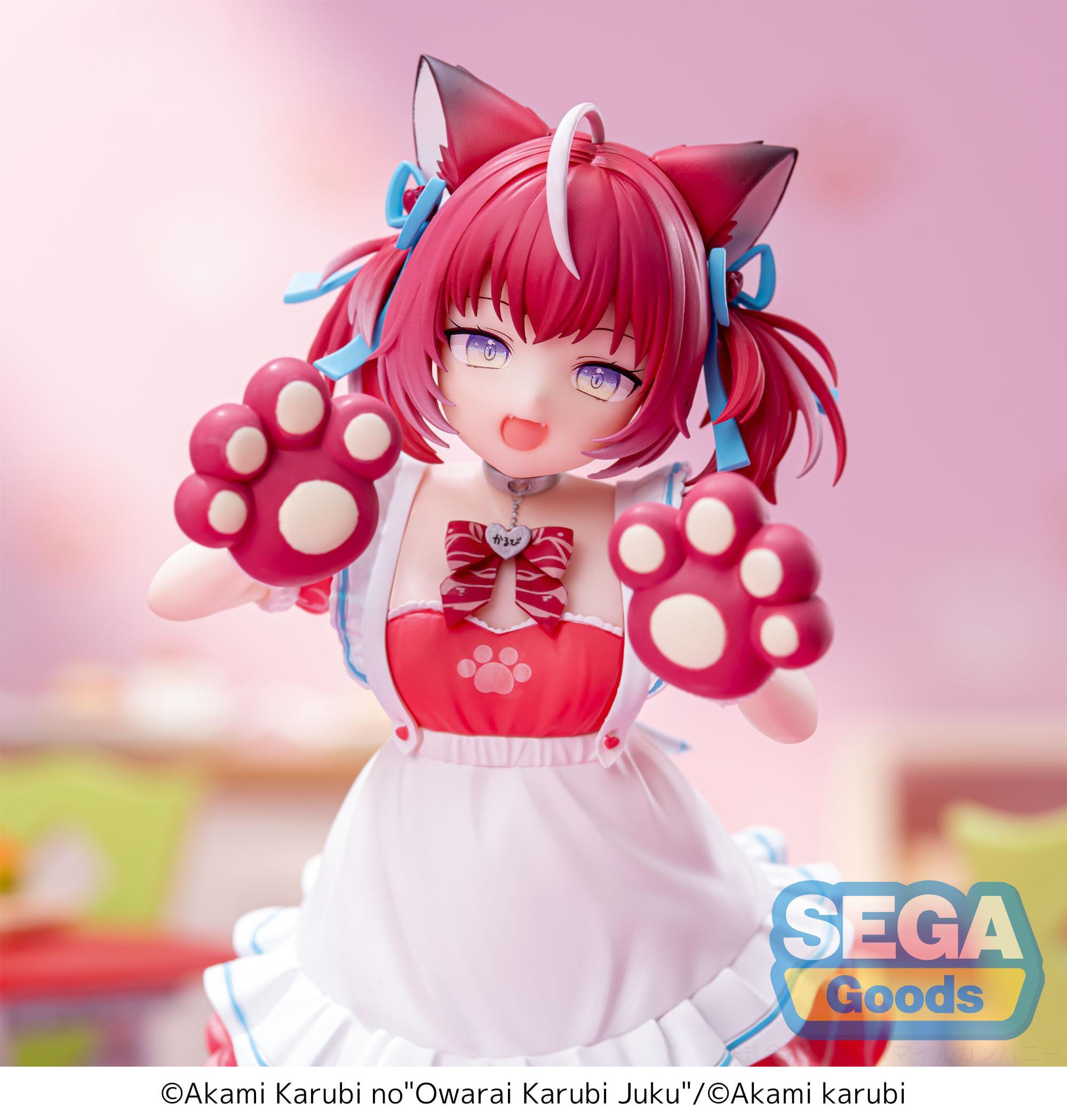 hr-sega45402-b