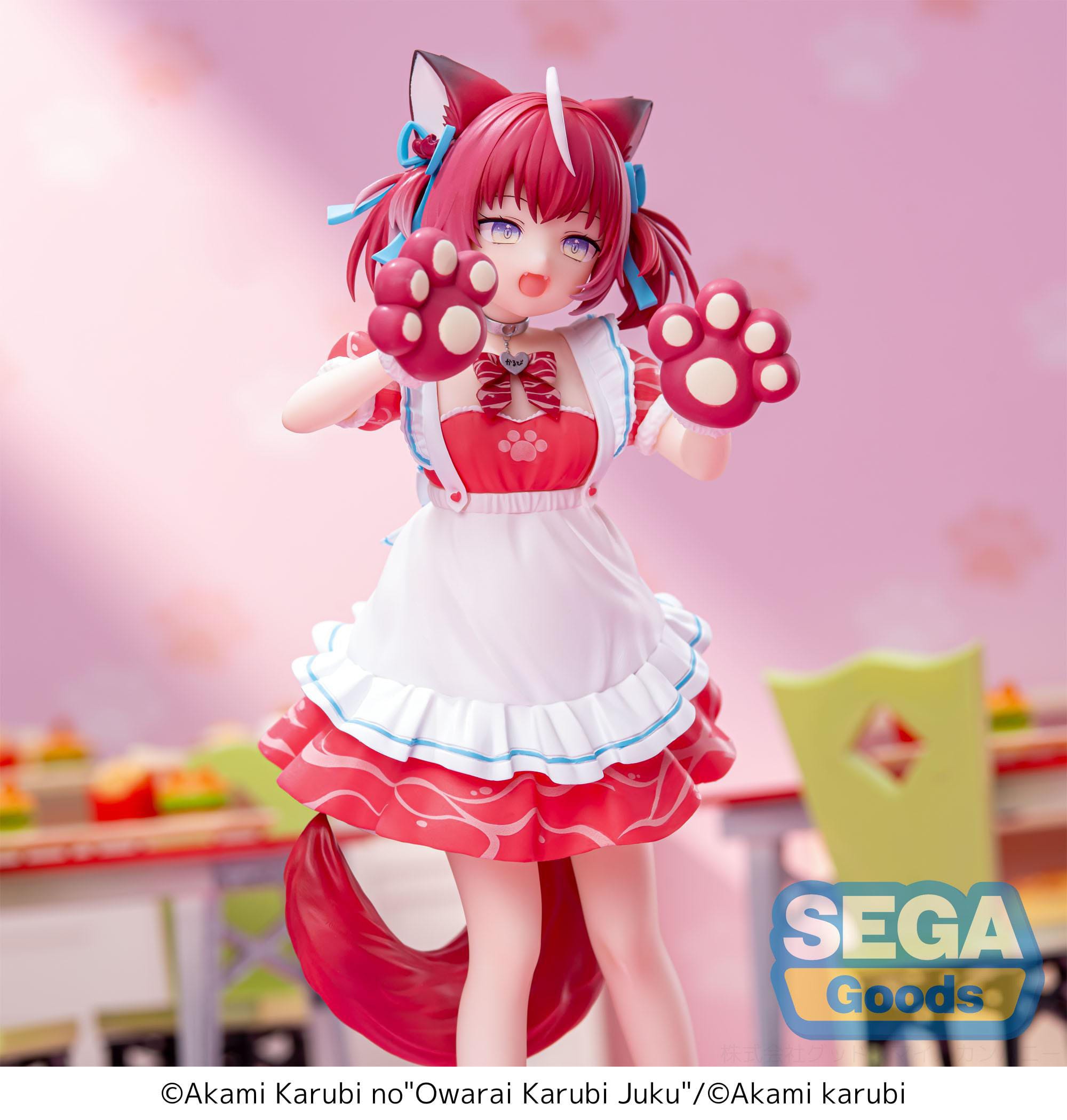 hr-sega45402-c