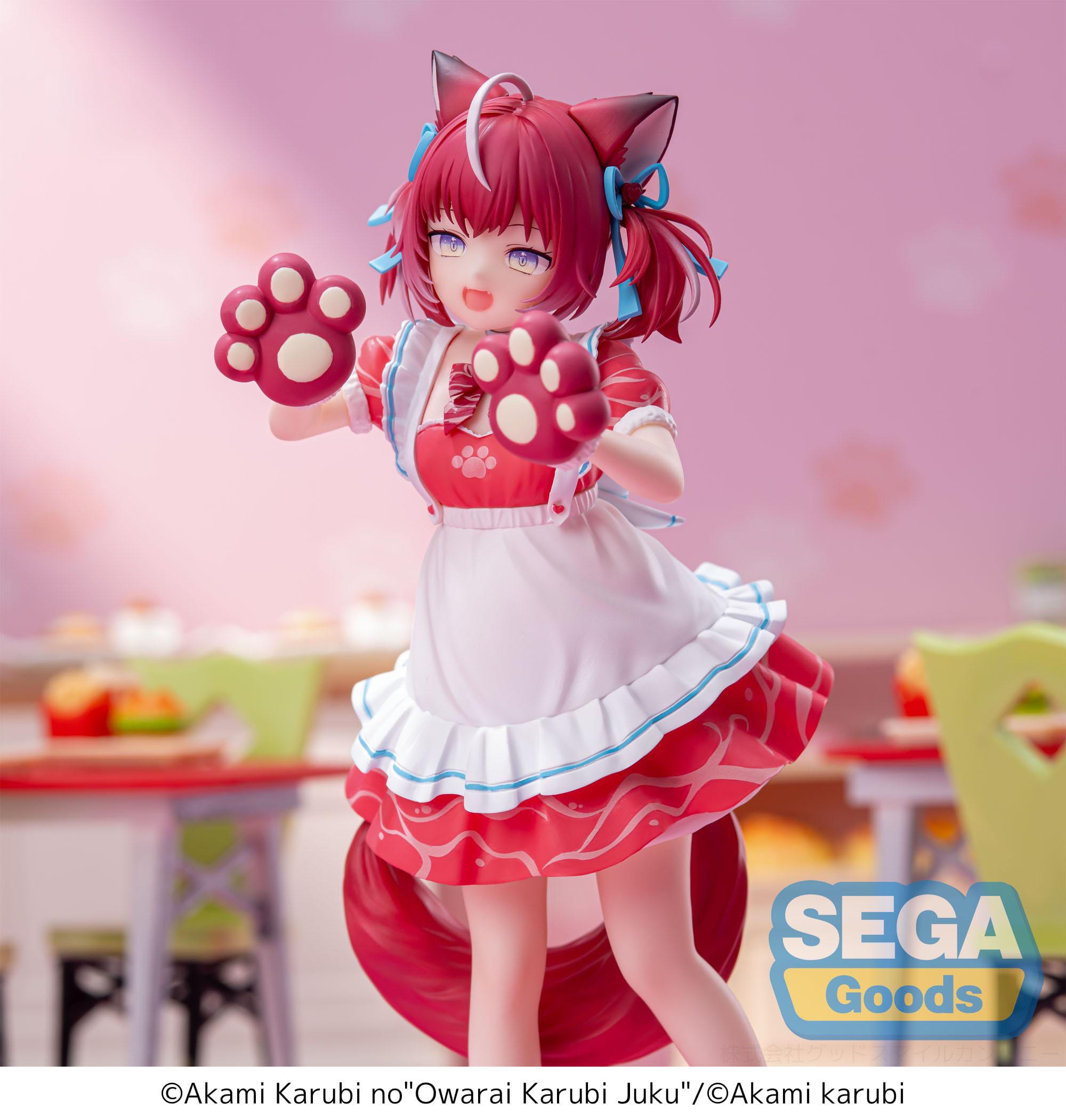hr-sega45402-d