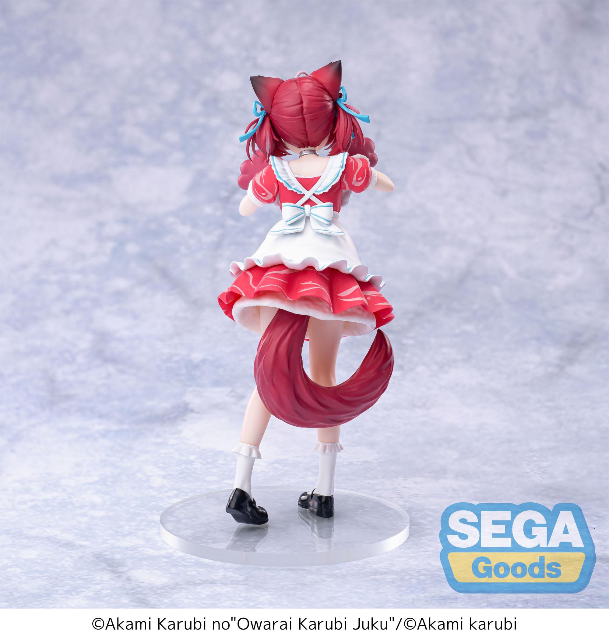 hr-sega45402-f
