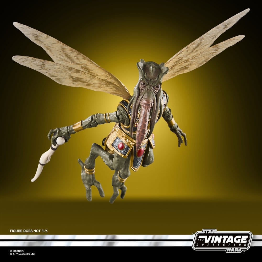 x_hasg2602_c
