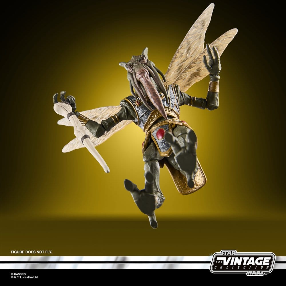 x_hasg2602_d