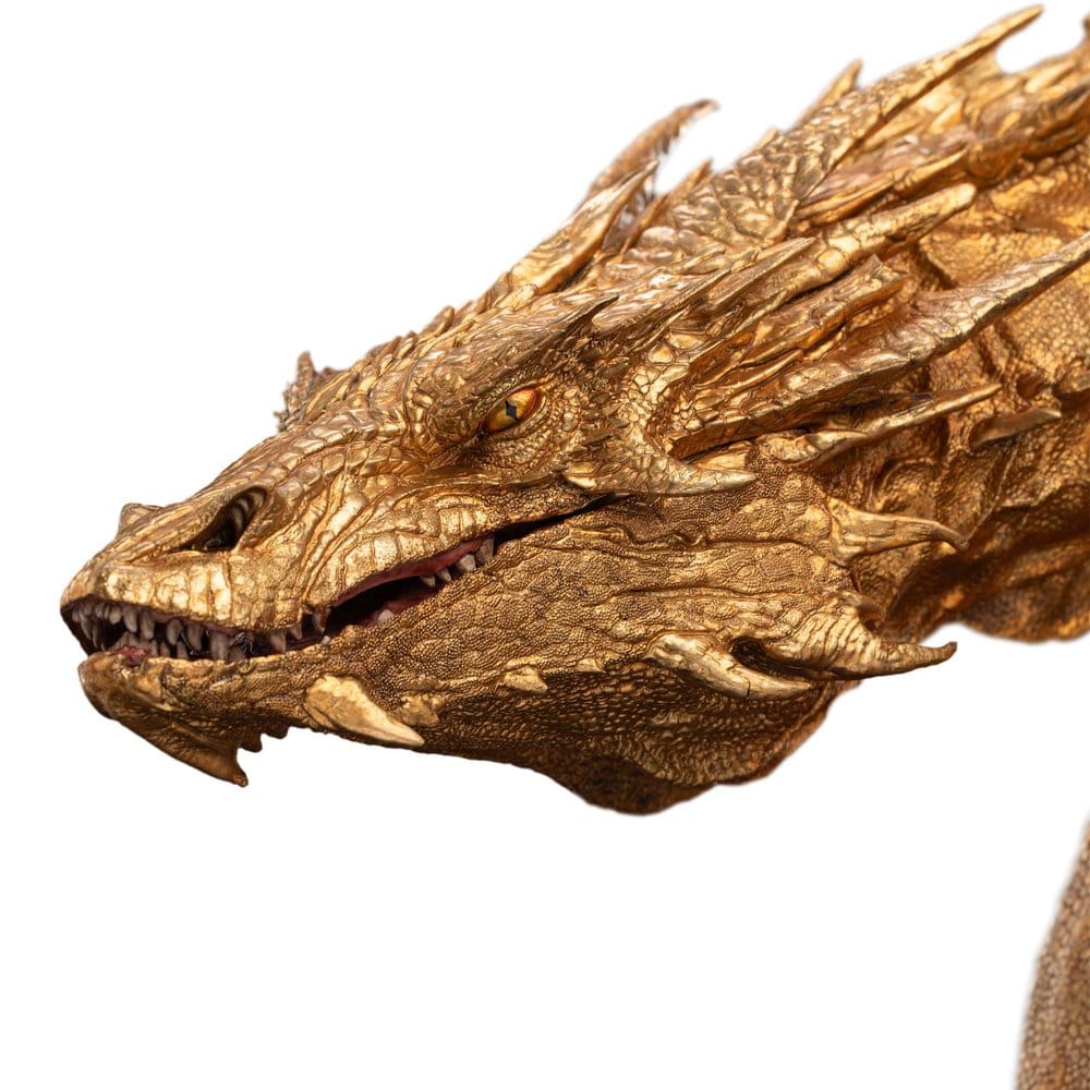 x_weta870205030_g
