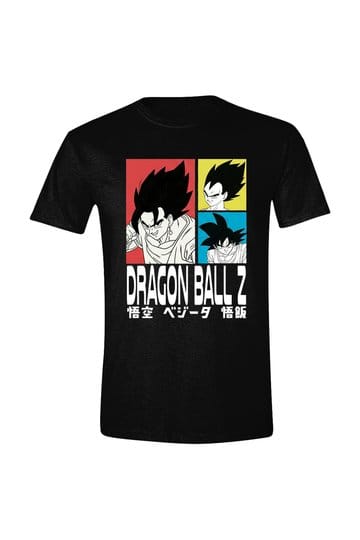 d_pcmts003dbz