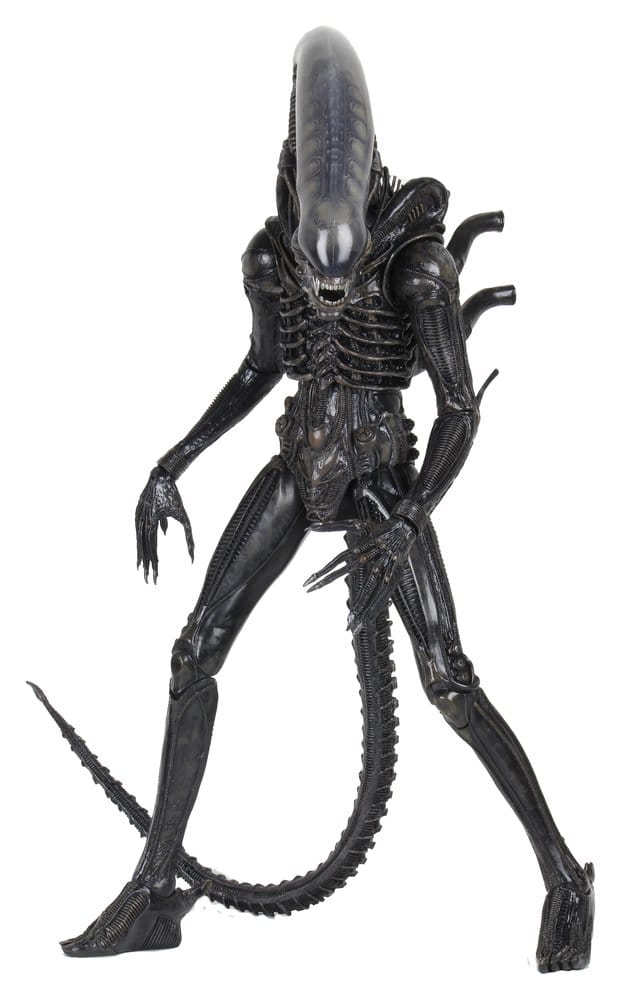 x_neca51598-01
