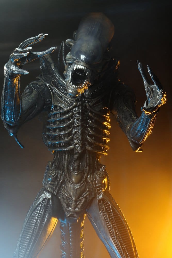 x_neca51598-01_c