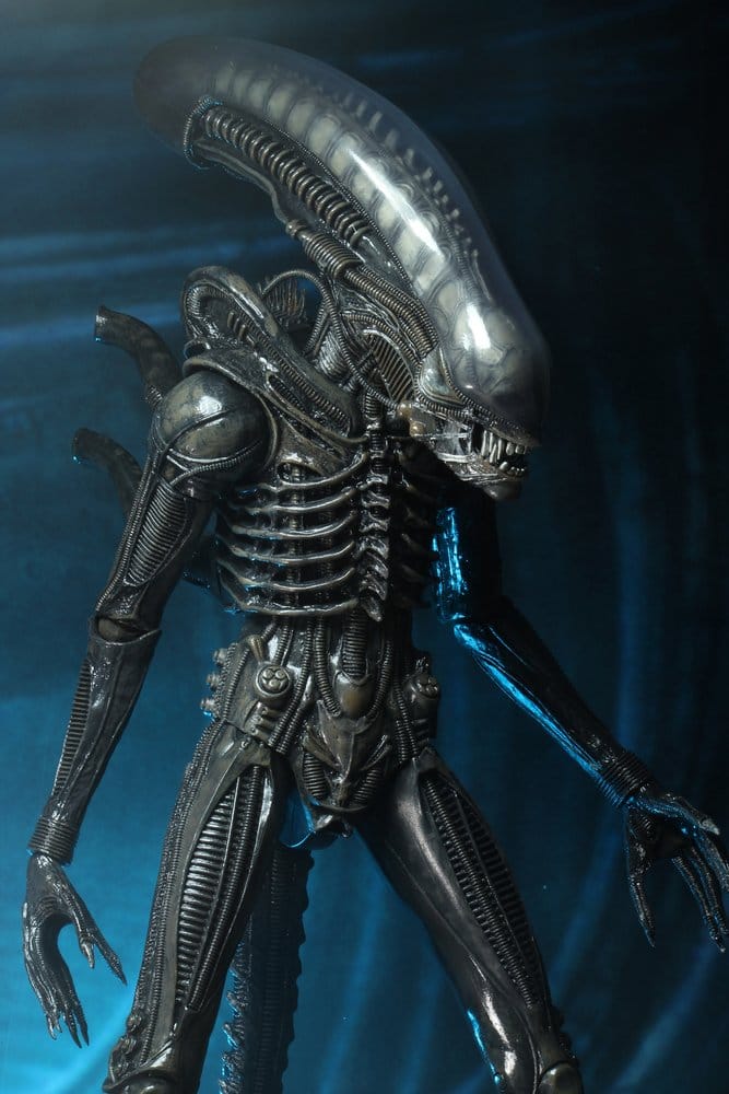 x_neca51598-01_d
