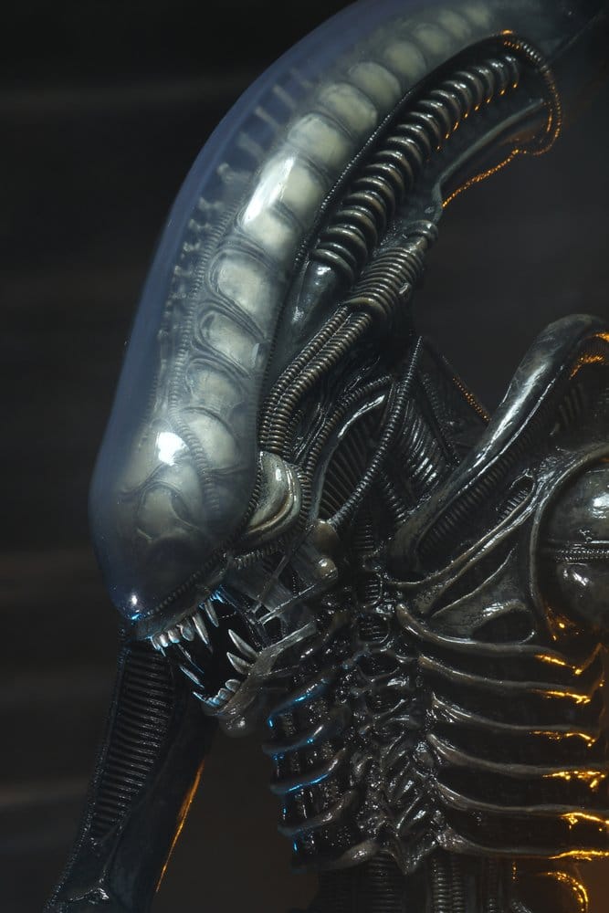 x_neca51598-01_e