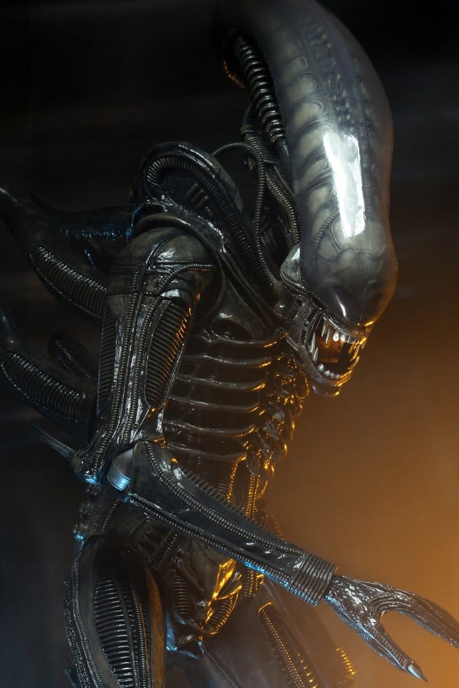 x_neca51598-01_f
