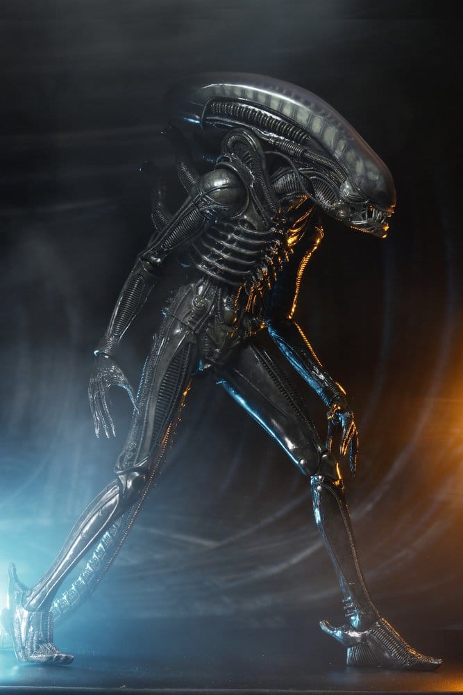 x_neca51598-01_g