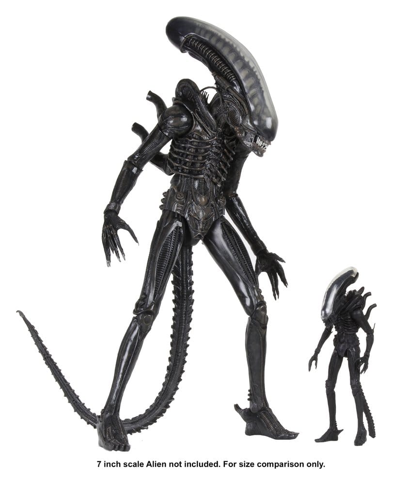 x_neca51598-01_l