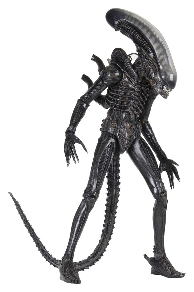 x_neca51598-01_m