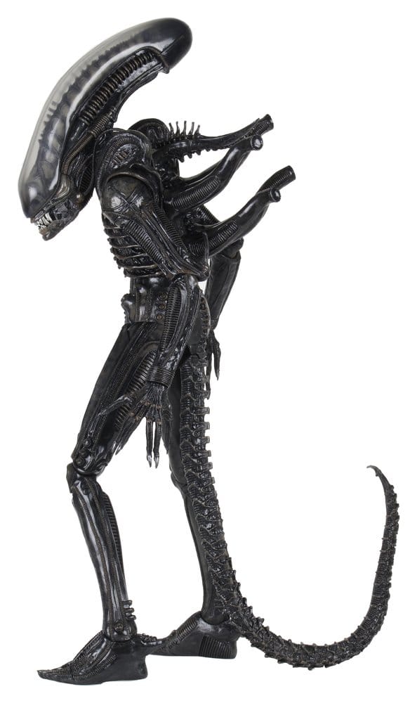 x_neca51598-01_n