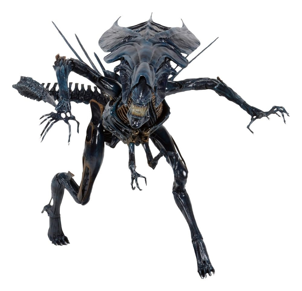 x_neca51800-01