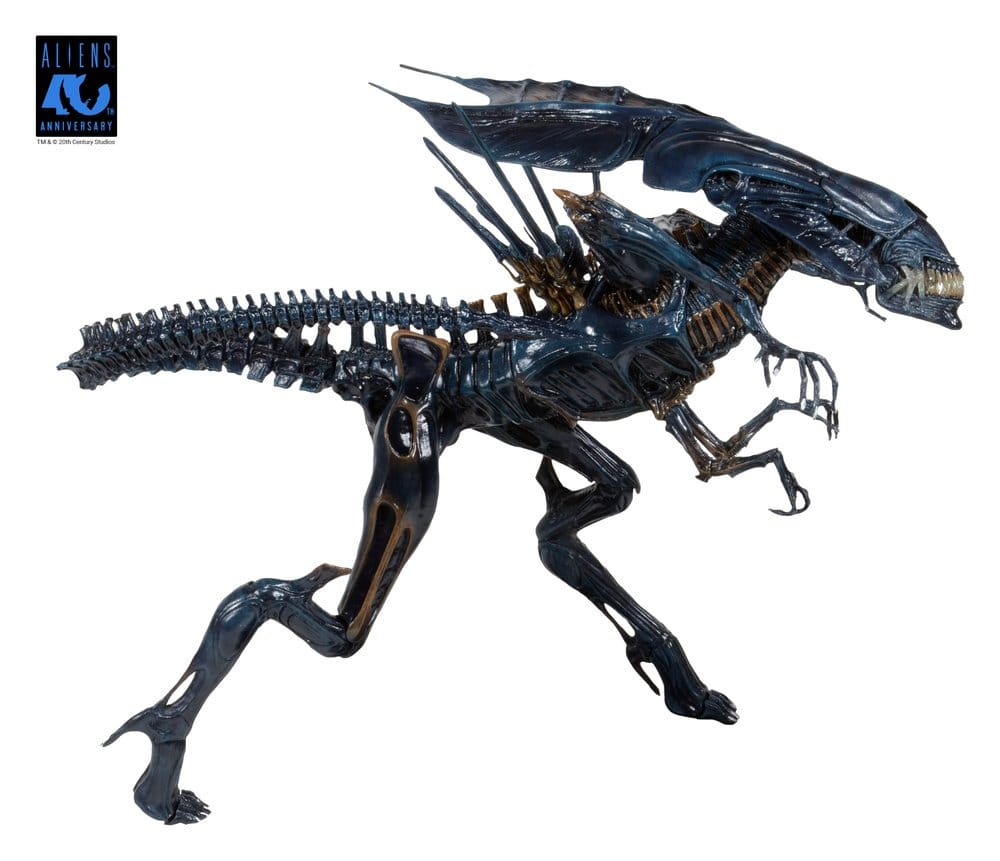 x_neca51800-01_c
