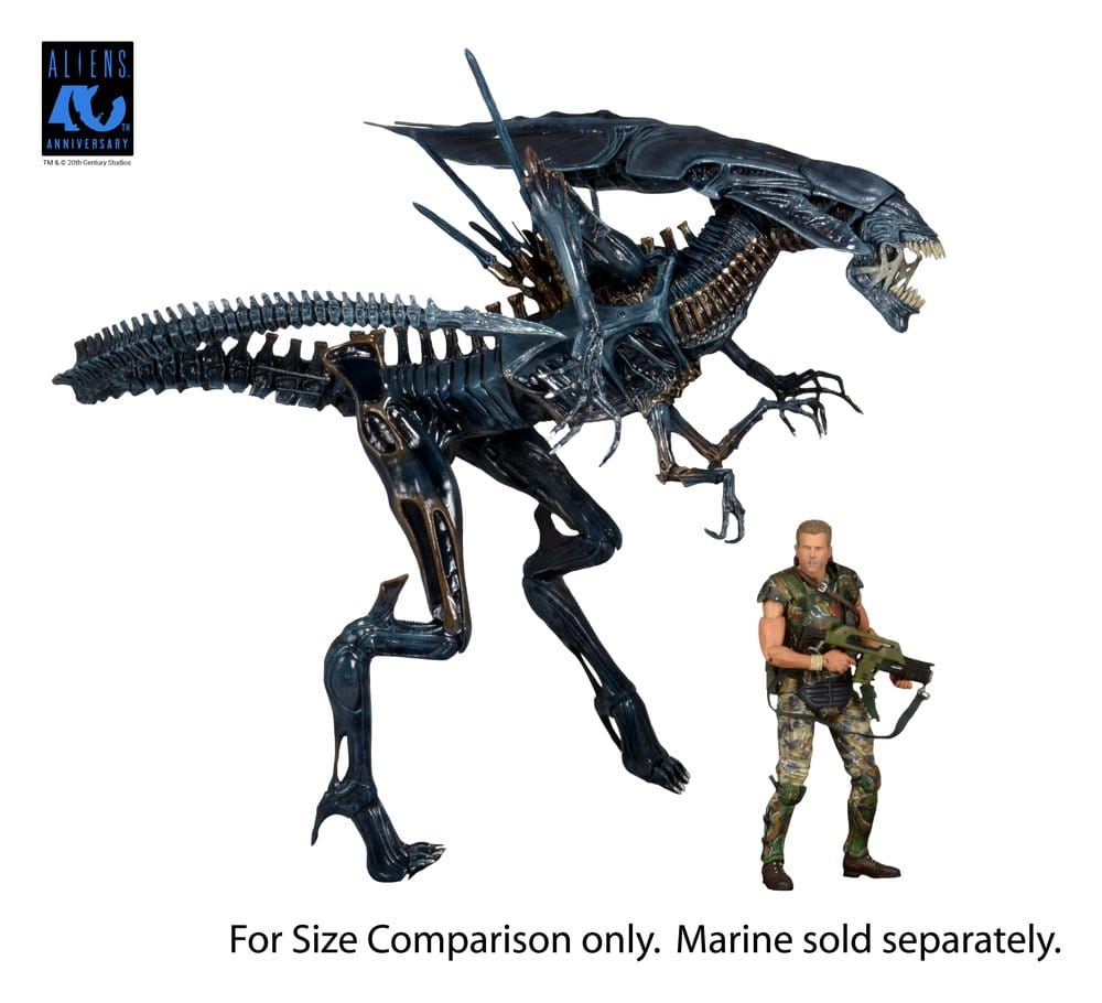x_neca51800-01_d