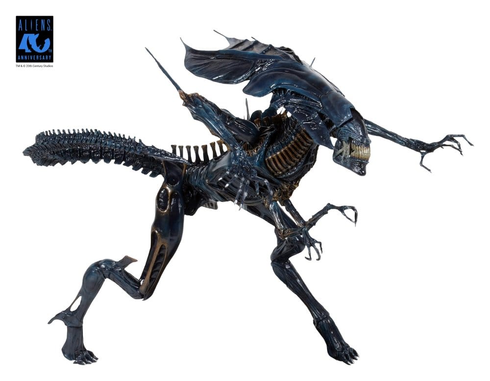 x_neca51800-01_f