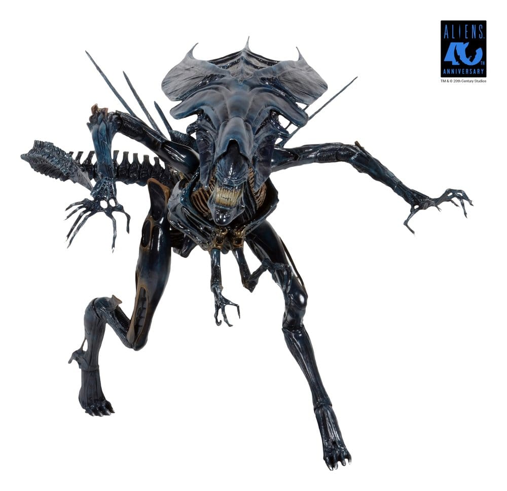 x_neca51800-01_g