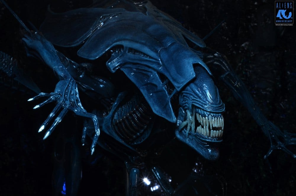 x_neca51800-01_h