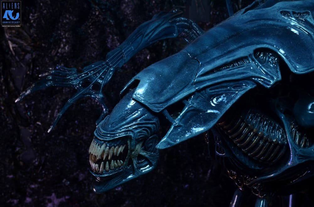 x_neca51800-01_i