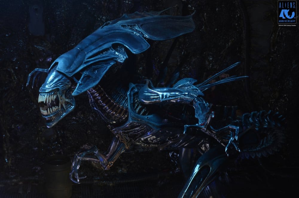 x_neca51800-01_k