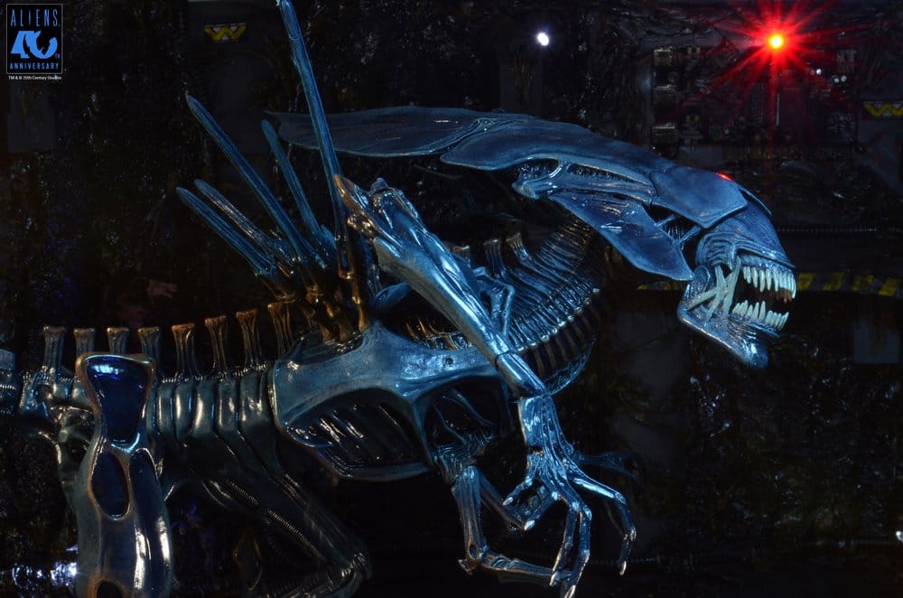 x_neca51800-01_l