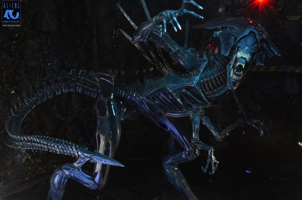 x_neca51800-01_m
