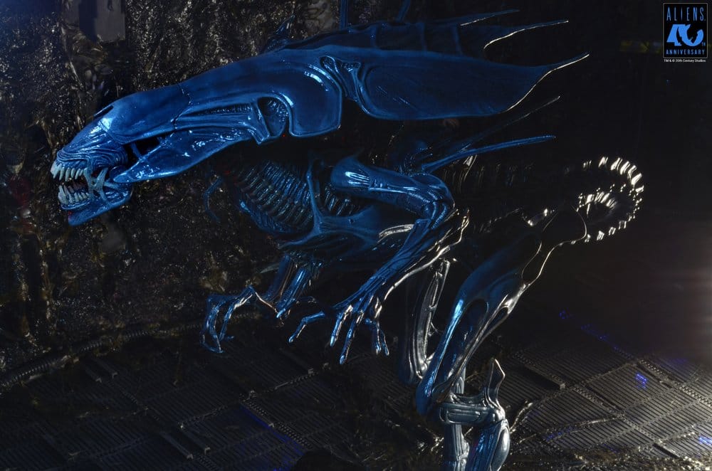 x_neca51800-01_n