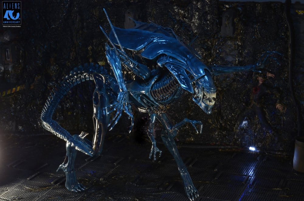 x_neca51800-01_o