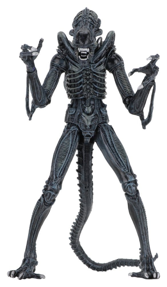 x_neca51647-01