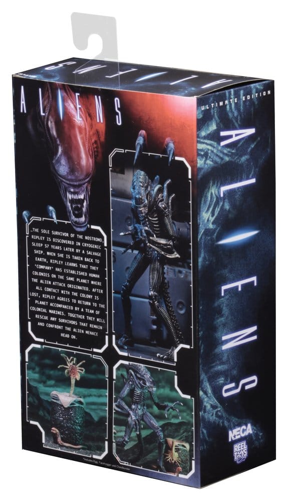 x_neca51647-01_b