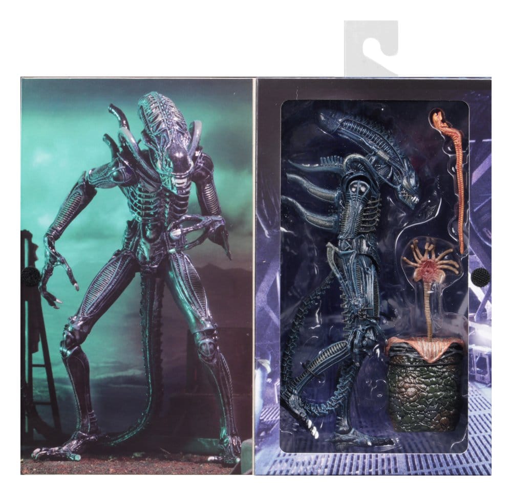 x_neca51647-01_c