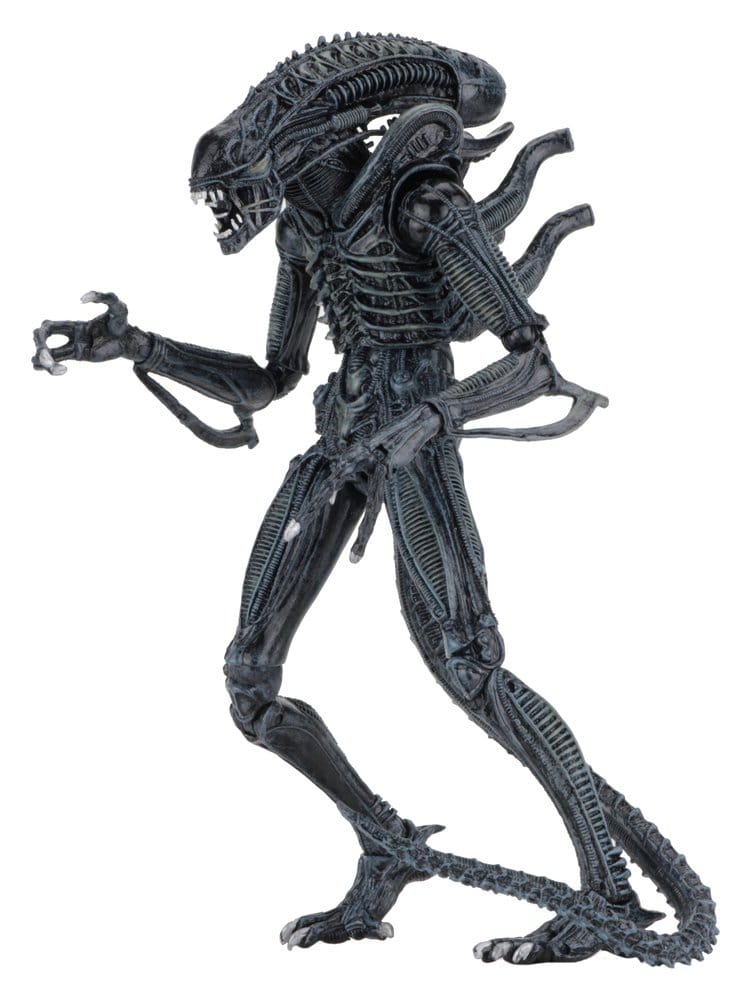 x_neca51647-01_d