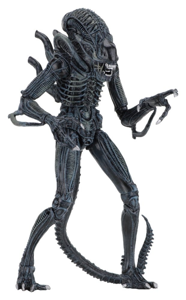 x_neca51647-01_e