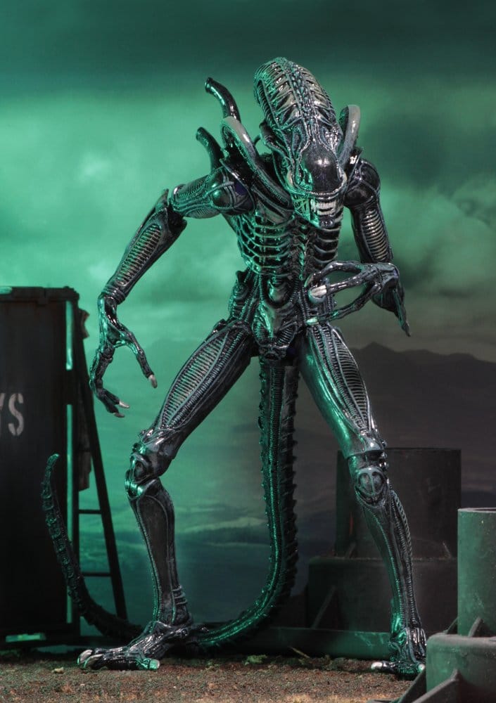 x_neca51647-01_g