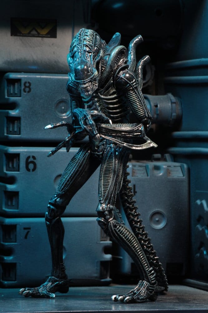 x_neca51647-01_h