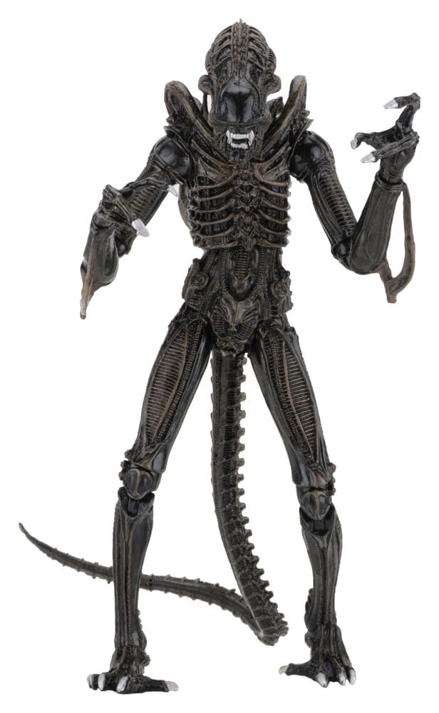 x_neca51683-01
